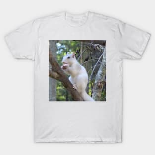 White Squirrel T-Shirt